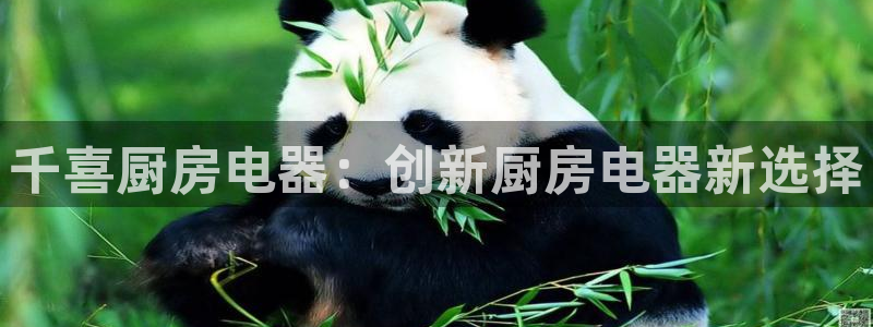 风暴娱乐园