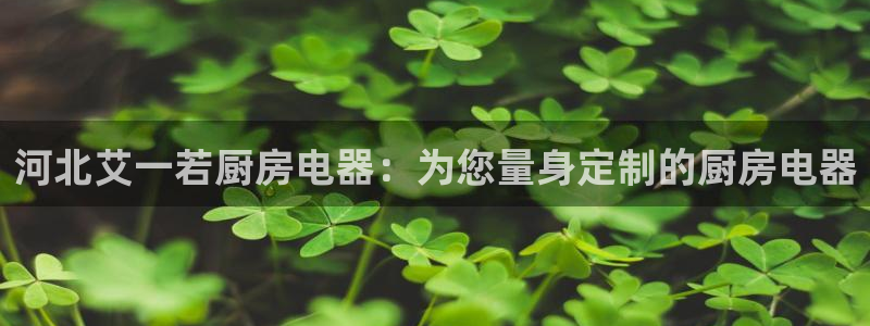 风暴娱乐套路