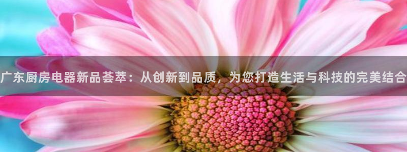 风暴娱乐下载地址