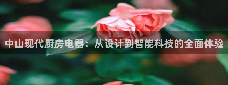 风暴大厅娱乐