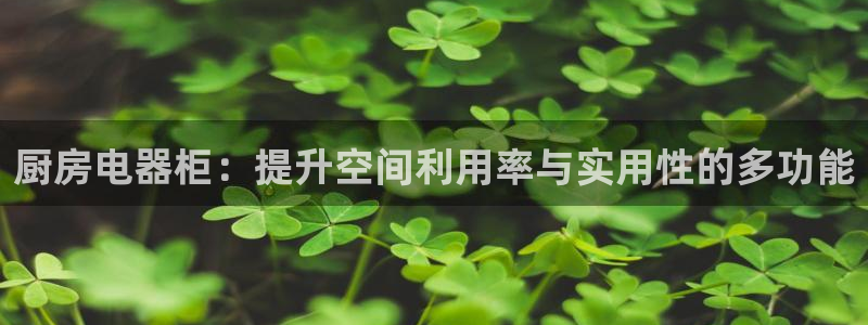 风暴娱乐部