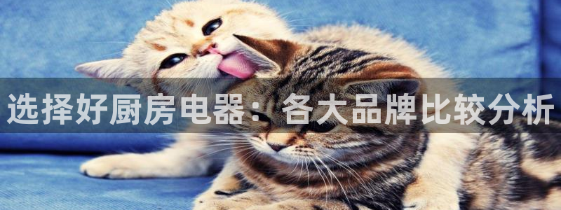 风暴娱乐汇
