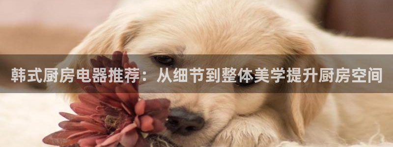 风暴娱乐客服