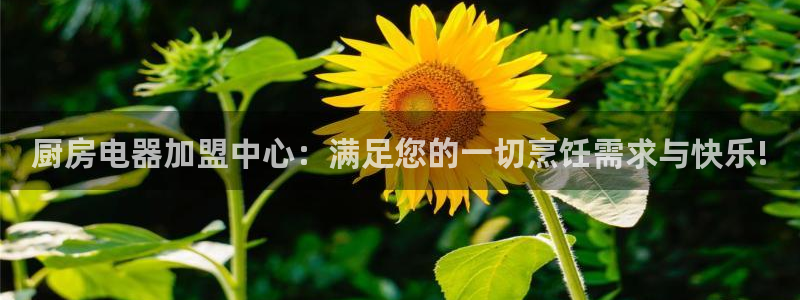风暴娱乐部