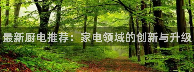 风暴数字娱乐